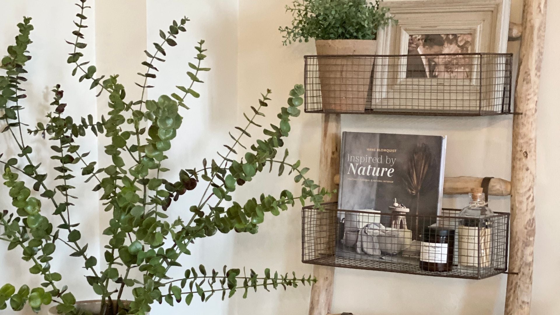 Storage ladder with removable wicker baskets, styled with trinkets and a plant.