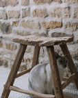 A reclaimed style wooden stool against a stone wall with a siamese cat.