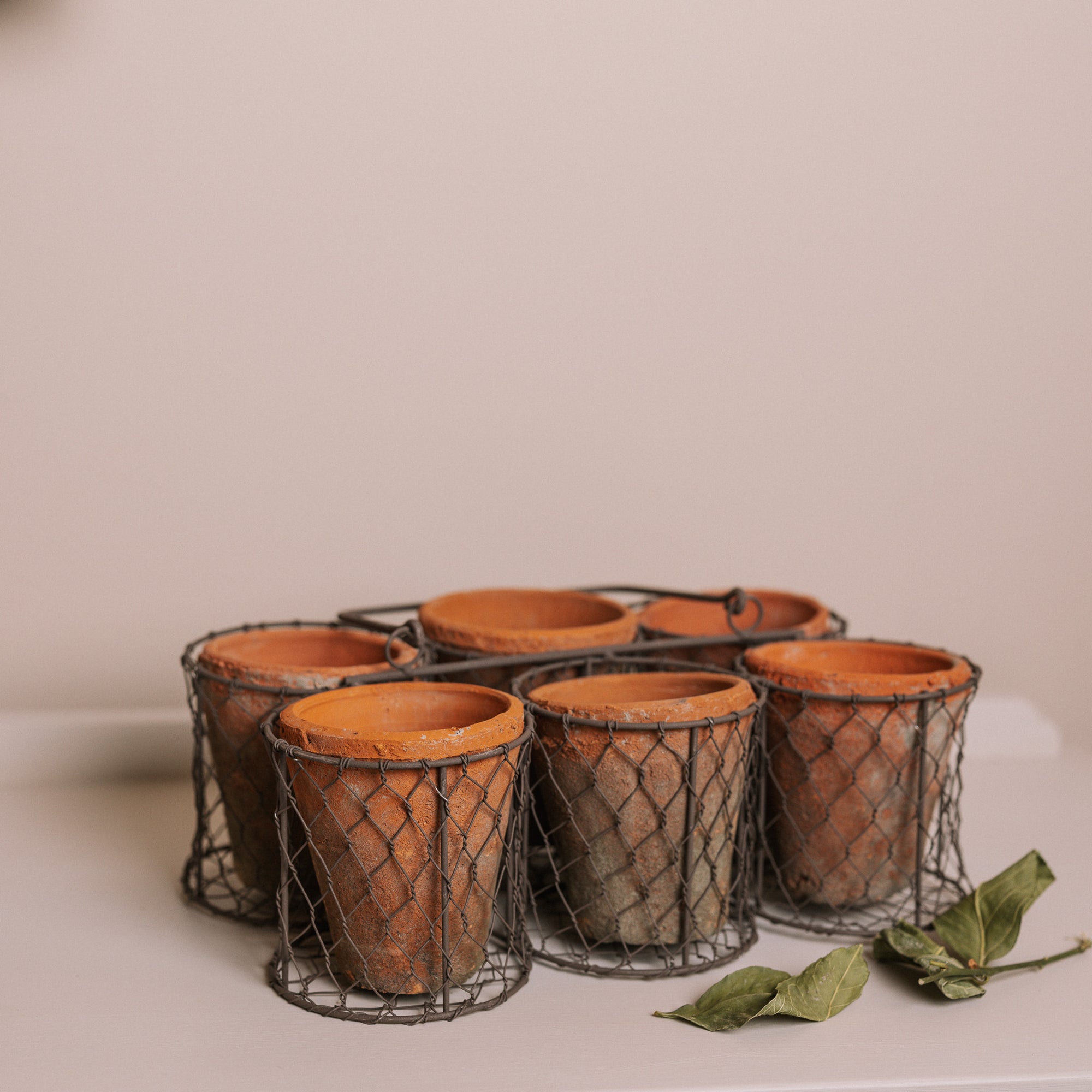 Clay herb pots in basket.