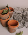 Clay herb pots in wire basket.