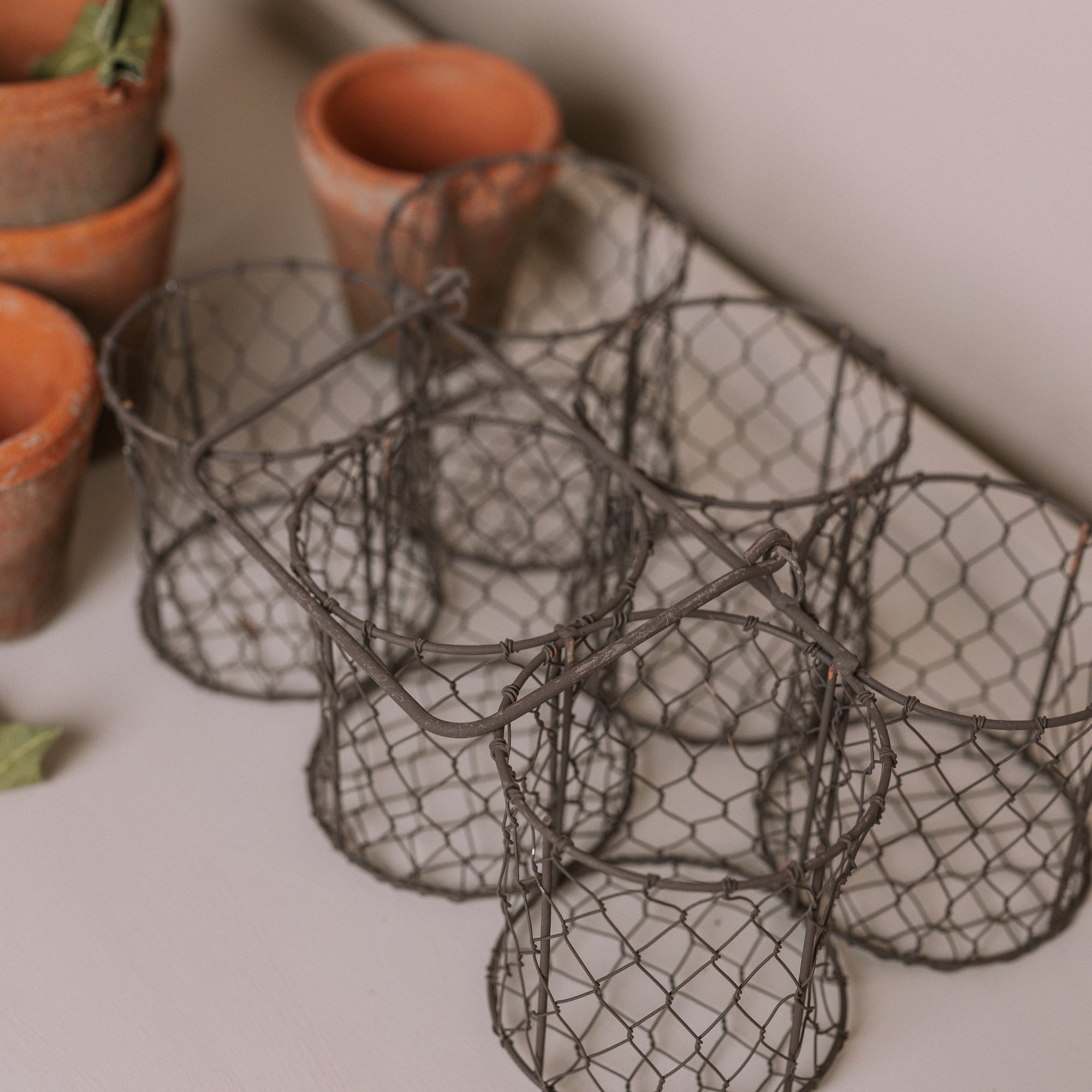 Clay herb pots in wire basket.