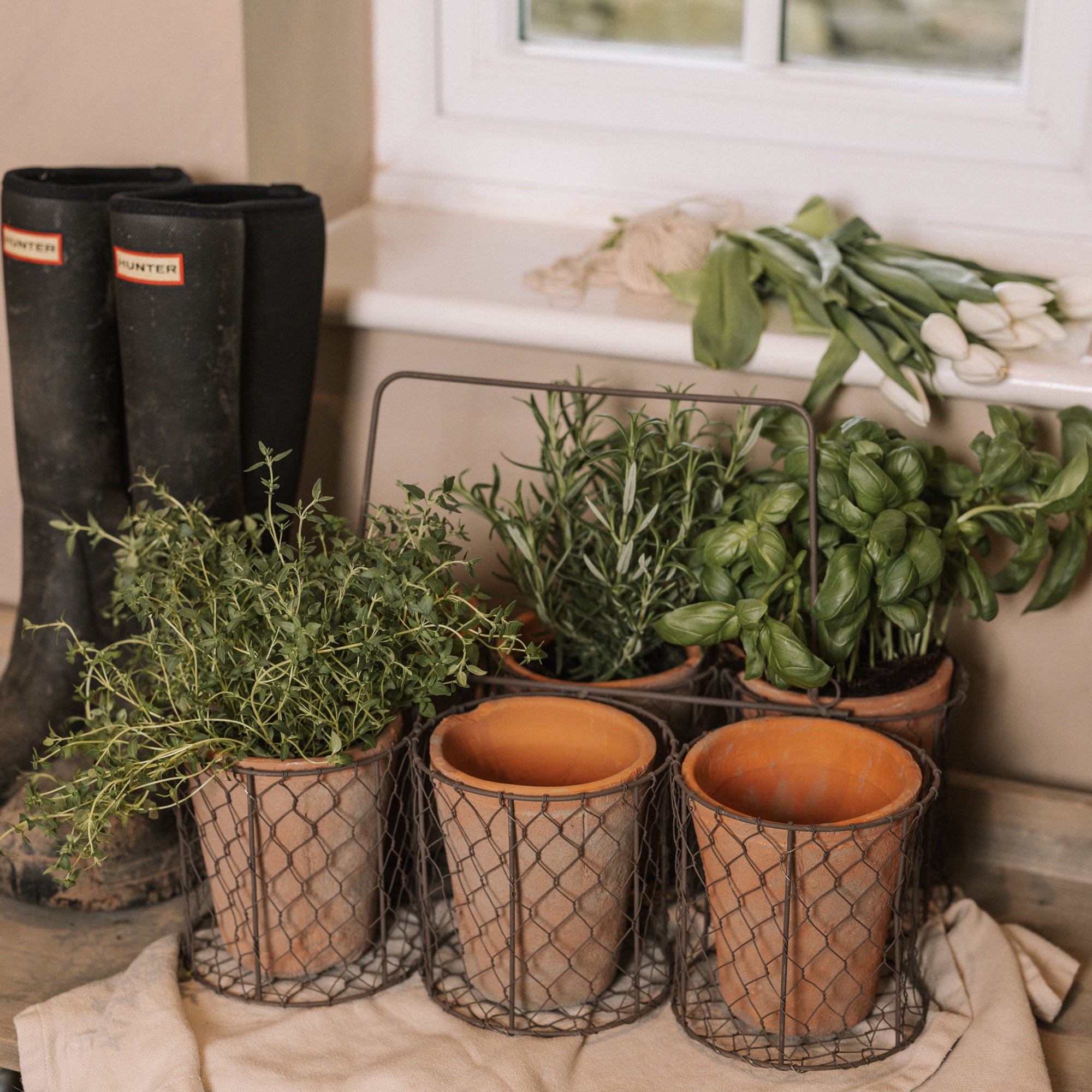 Clay herb pots in wire basket.