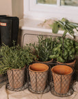 Clay herb pots in wire basket.