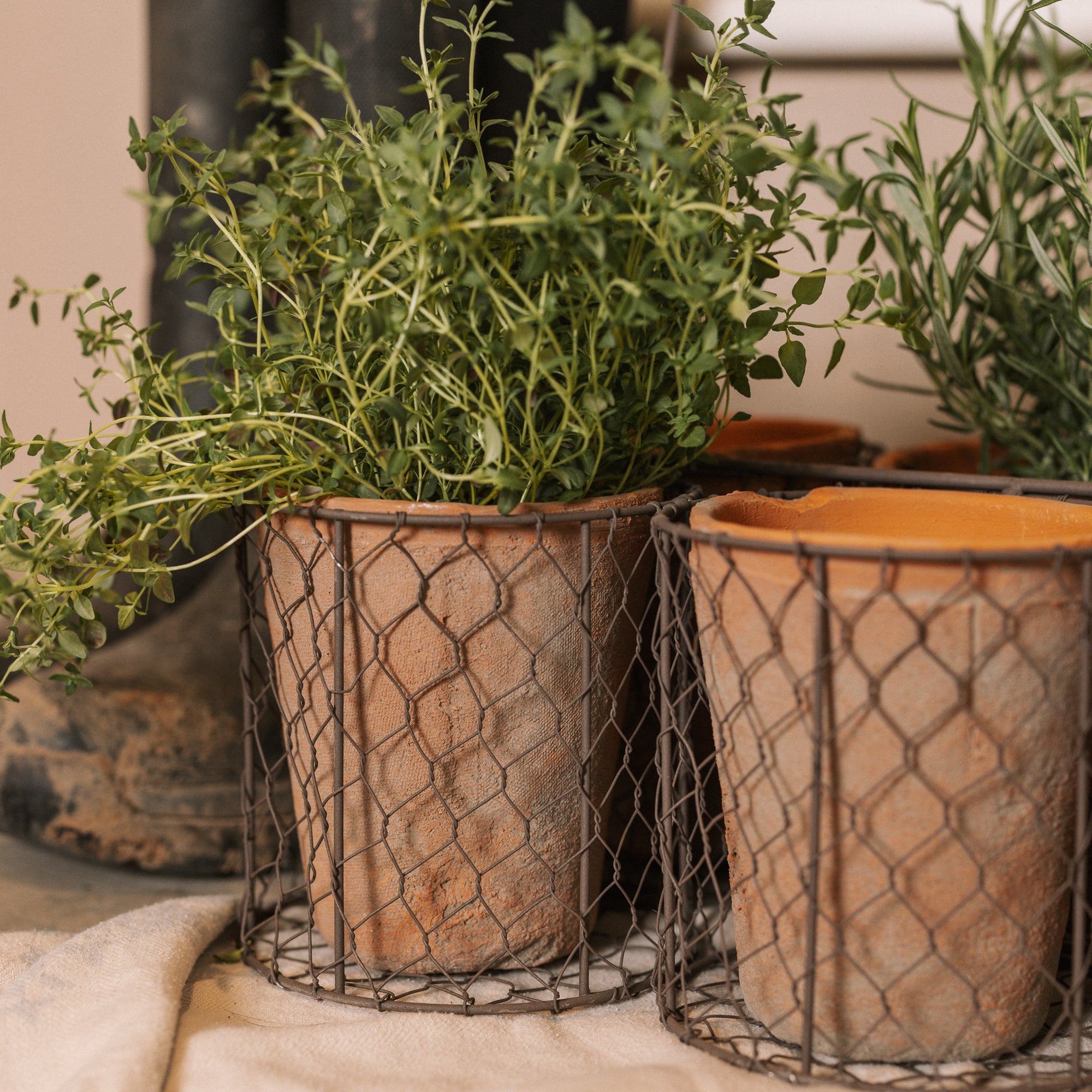 Clay herb pots in wire basket.