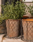 Clay herb pots in wire basket.