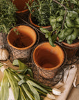 Clay herb pots in wire basket.