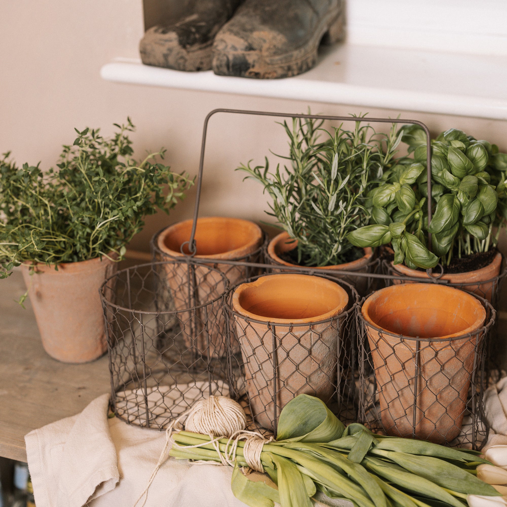 Clay herb pots in wire basket.