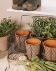 Clay herb pots in wire basket.