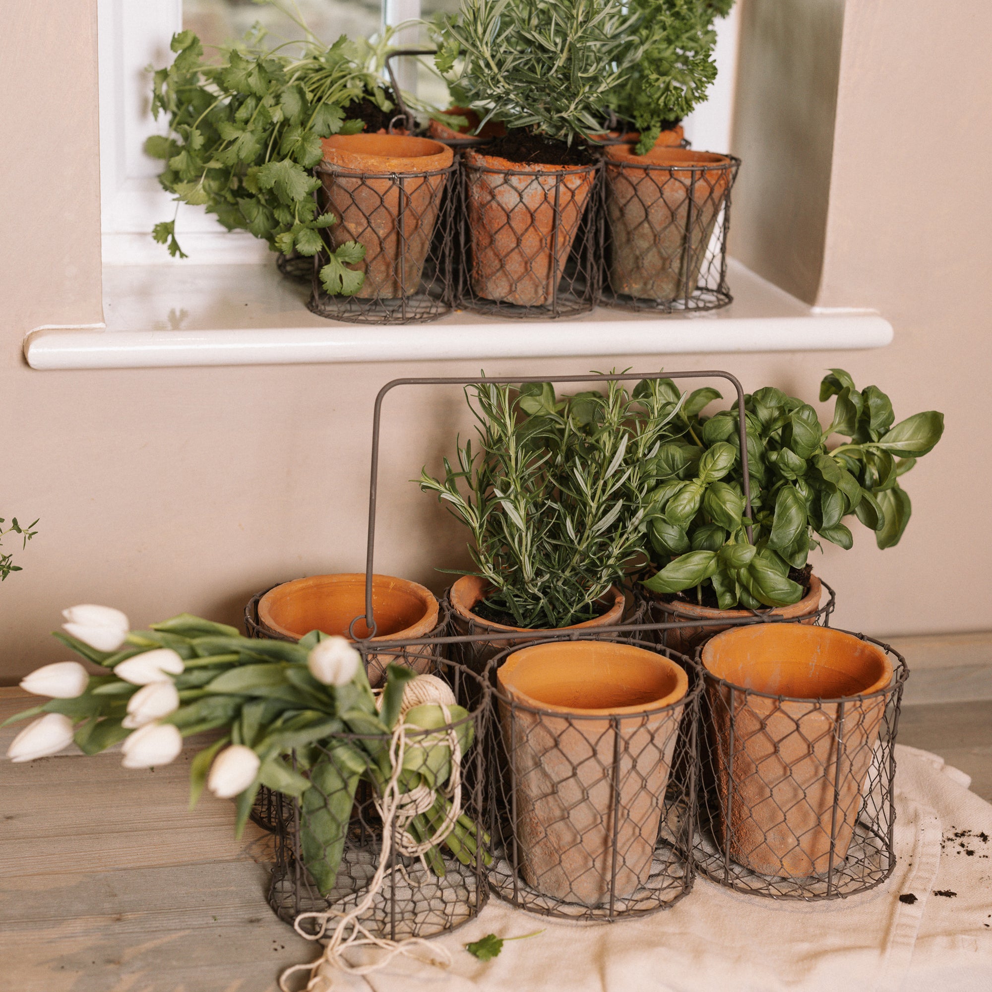 Clay herb pots in wire basket with plants and flowers.