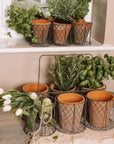 Clay herb pots in wire basket with plants and flowers.