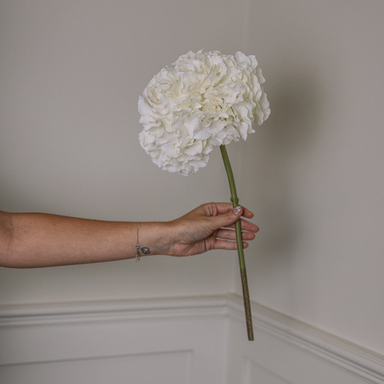 White Faux Hydrangea Stem held up in front of wall.