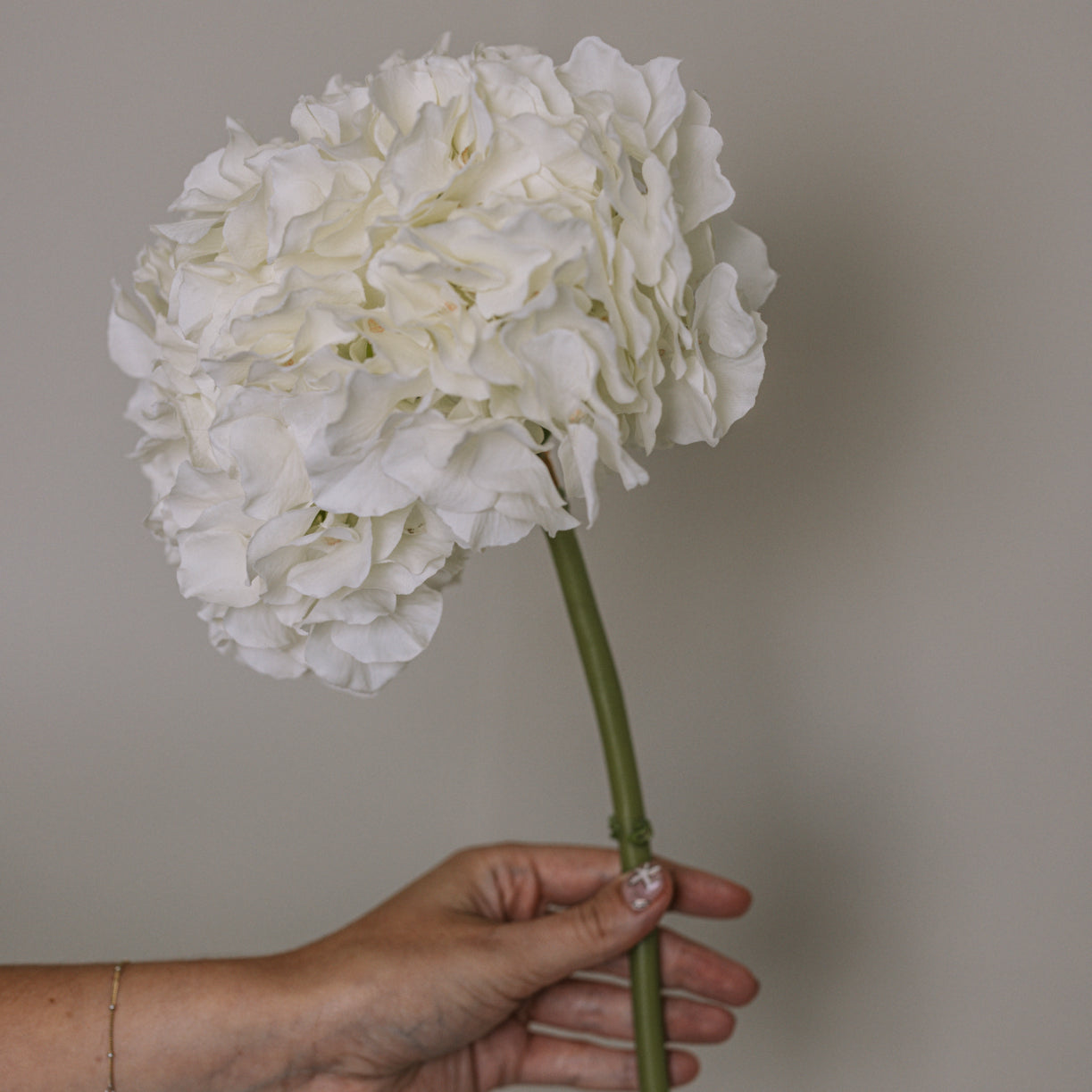 Close up of white faux hydrangea stem.