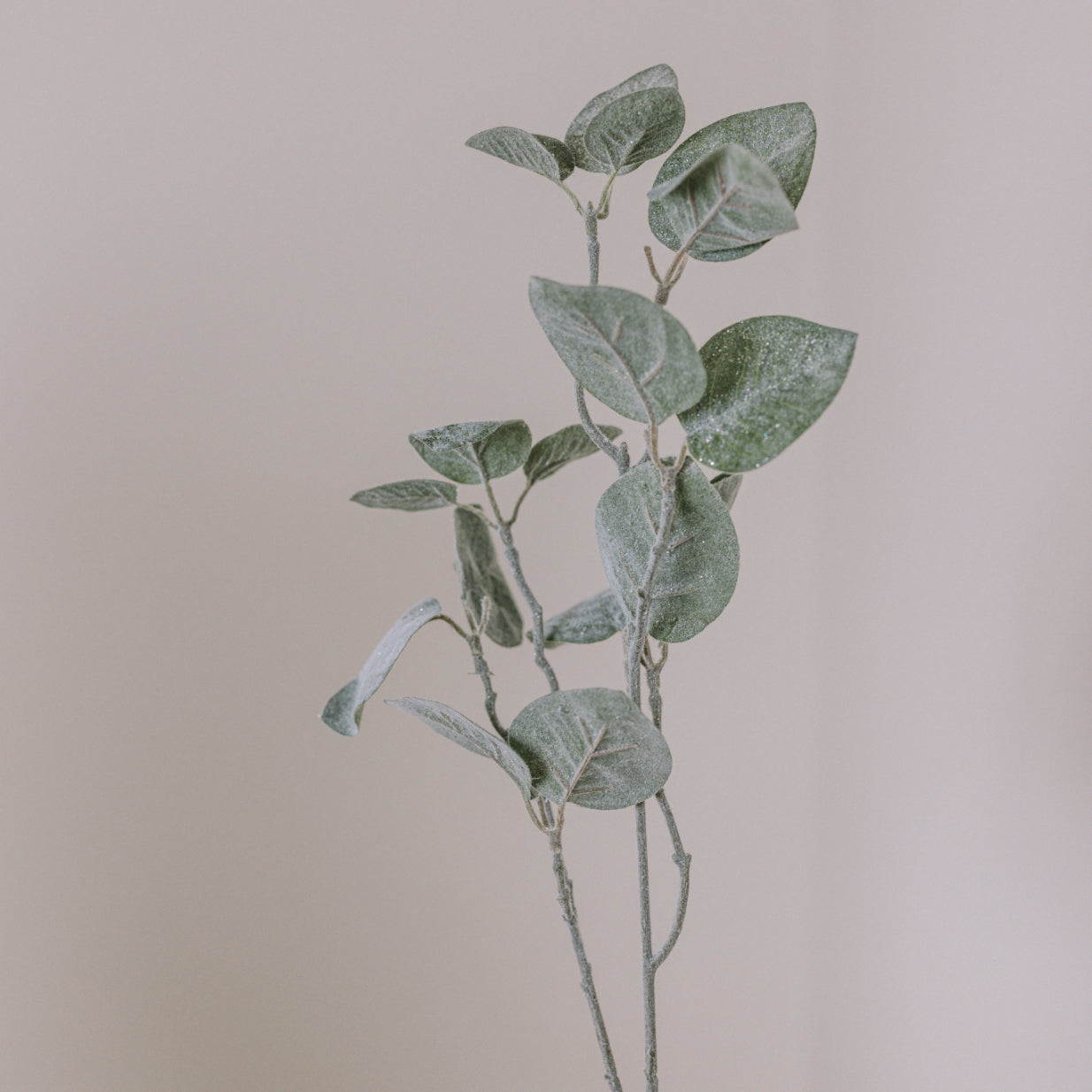 Close up of leaves on frosted glittery artificial eucalyptus spray.