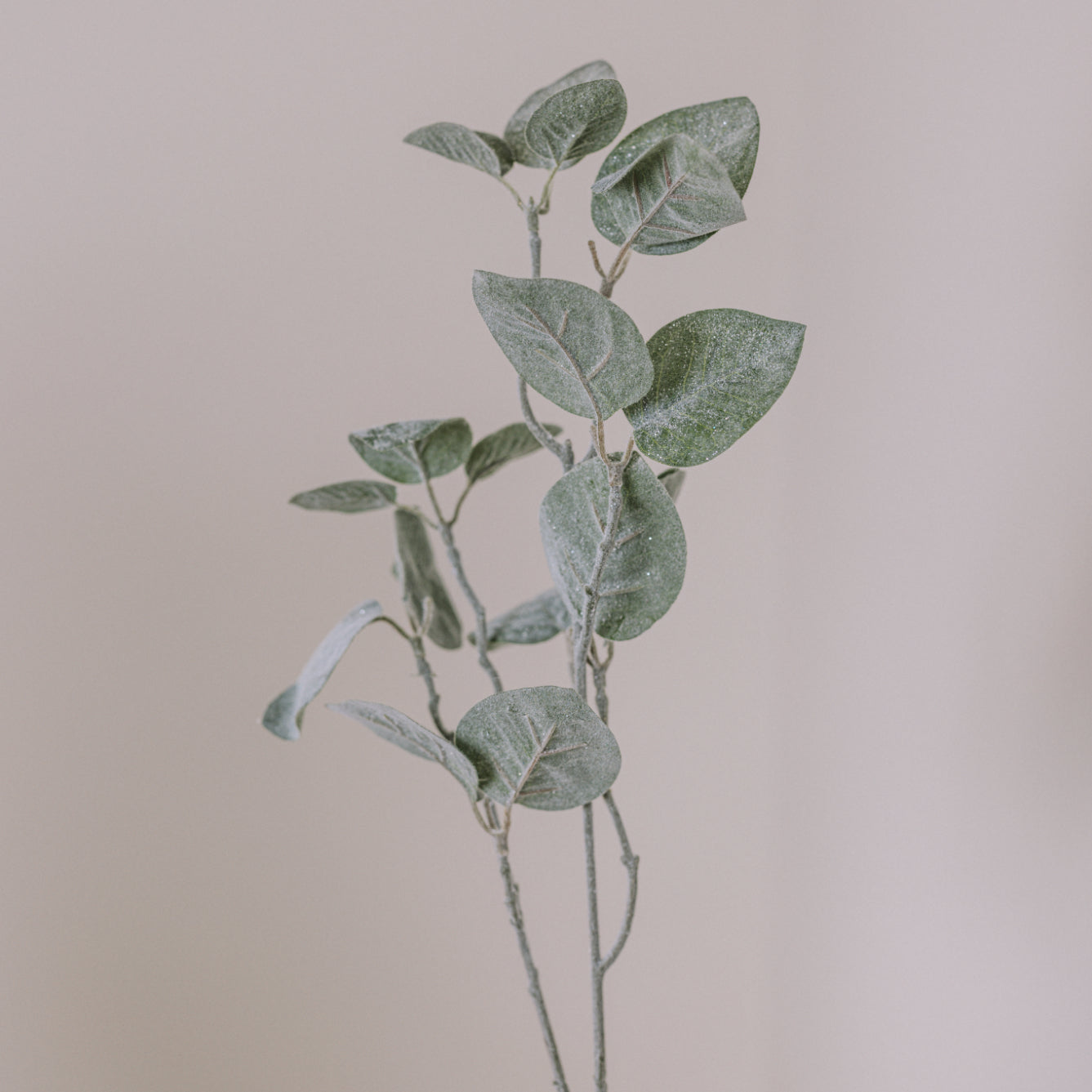 Close up of leaves on frosted glittery artificial eucalyptus spray.