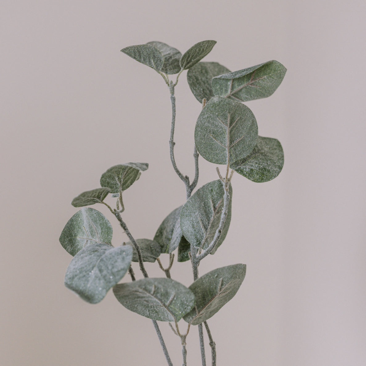 Close up of leaves on frosted glittery artificial eucalyptus spray.