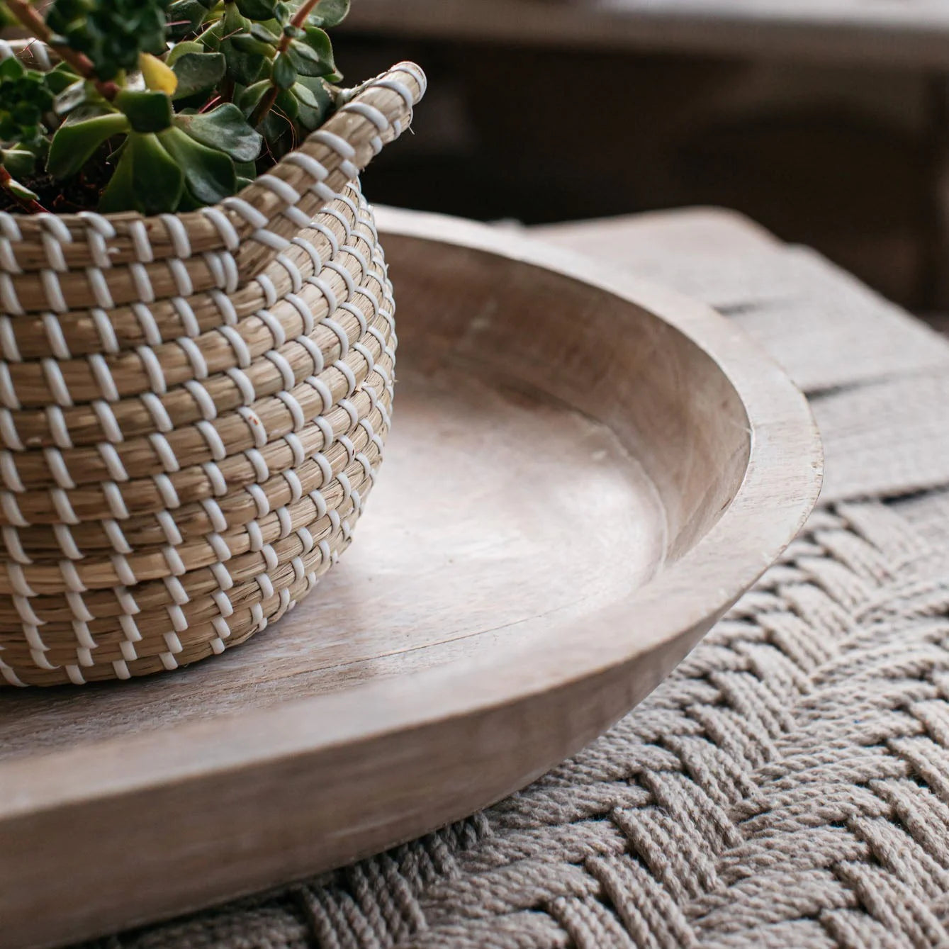 A close up image of an oval shaped mango wood tray, a small plant in a woven basket sits on top.