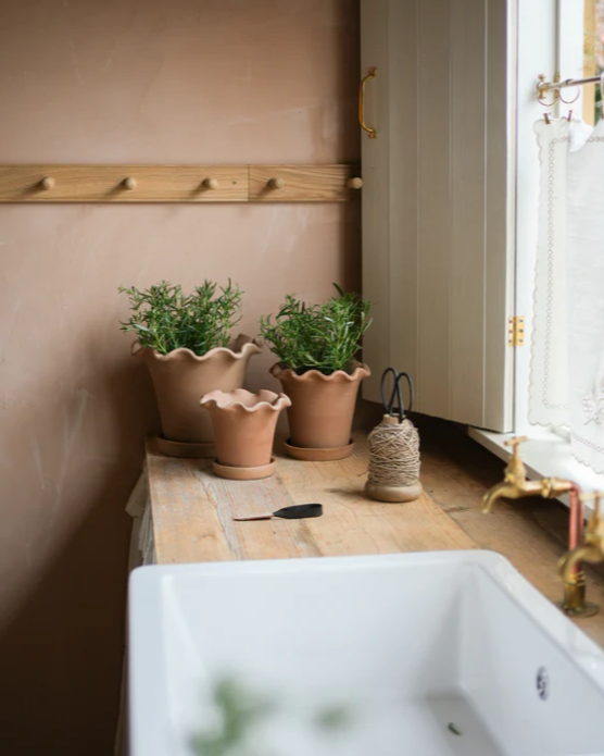 Frilly terracotta plant pot set of 3 on kitchen top near sink.