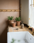 Frilly terracotta plant pot set of 3 on kitchen top near sink.