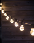 Classic Festoon Lights outdoors in the evening.