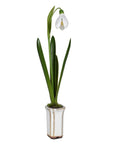 Faux snowdrop in off white ceramic plant pot.