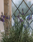 Detailed shot of Faux lavender plant in pot on stone windowsill. 