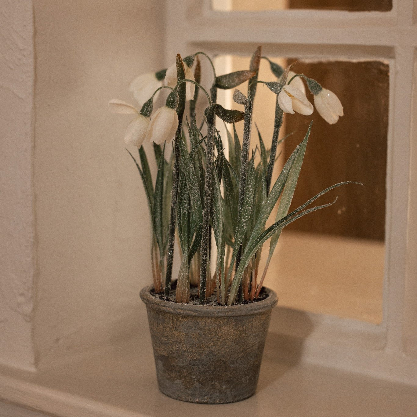 White faux snowdrops in terracotta pot on window sill.