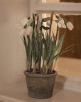 White faux snowdrops in terracotta pot on window sill.