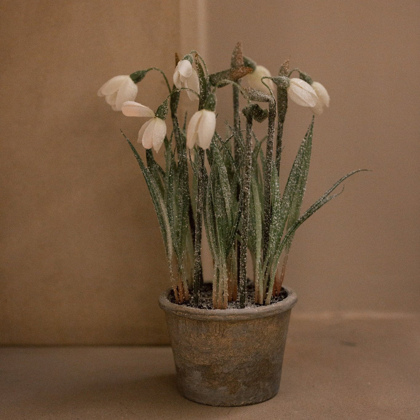 White faux snowdropped in terracotta pot on floor.