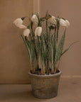 White faux snowdropped in terracotta pot on floor.