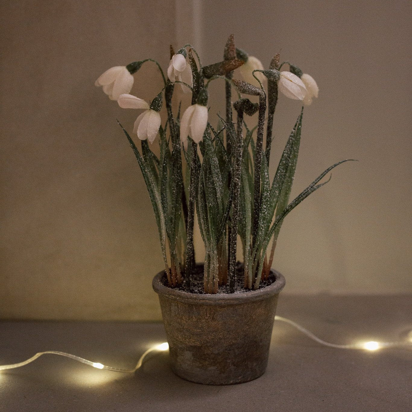 White faux snowdrops in a terracotta pot, with lit fairy lights wrapped around.