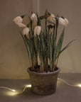 White faux snowdrops in a terracotta pot, with lit fairy lights wrapped around.