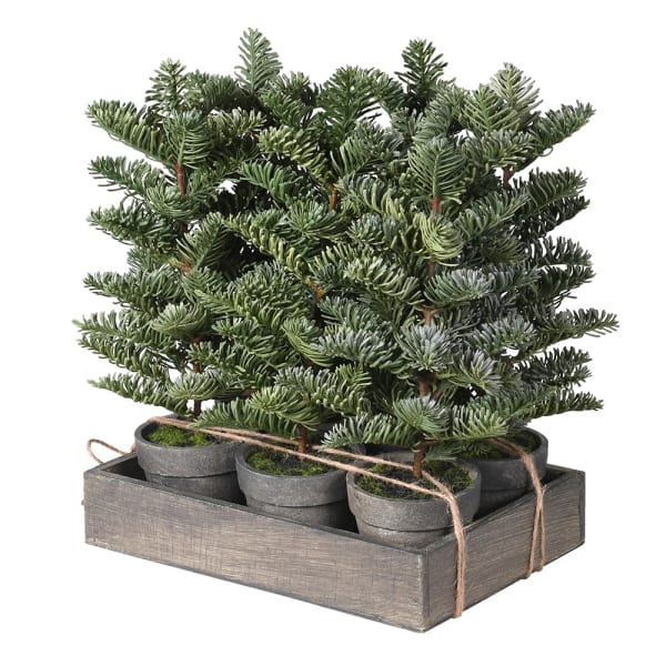 Nordic spruce potted mini Christmas tree set bundled up in a tray. 