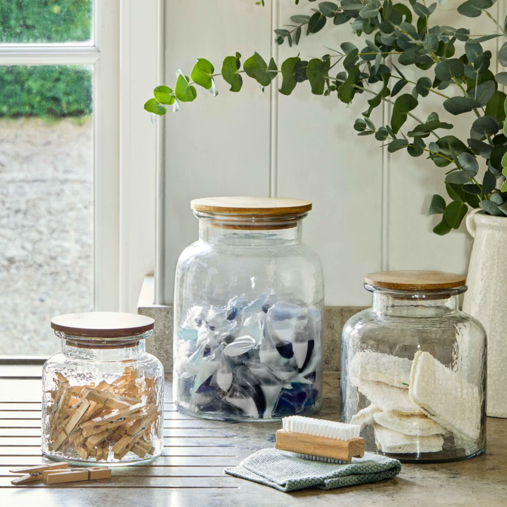 Penny Glass Storage Jars on kitchen side next to eucalyptus plant.