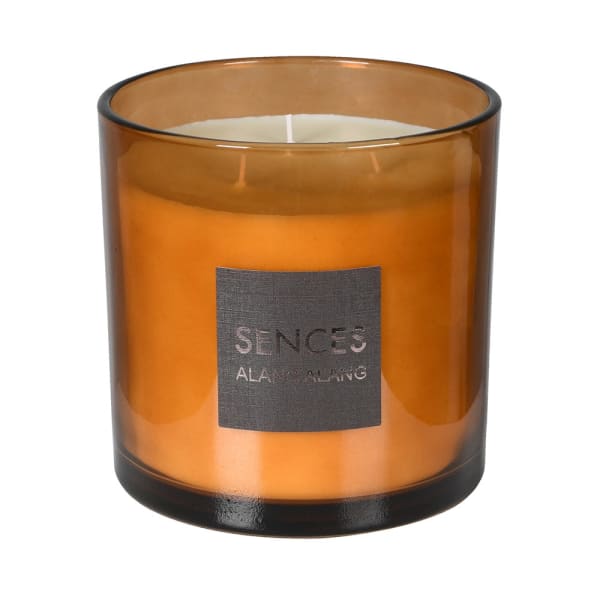 Sences amber 3 wick candle product image.