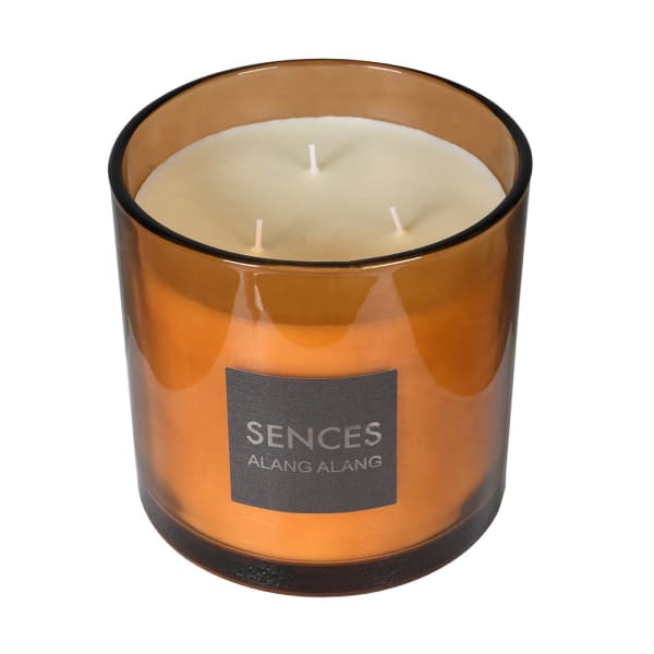 Sences amber 3 wick candle product image.