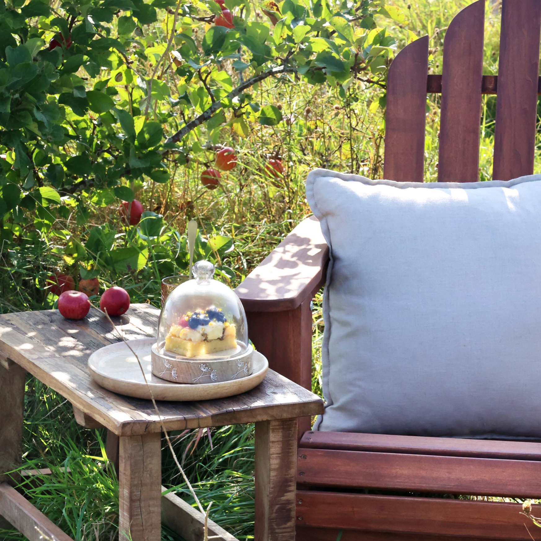 wooden outdoor armchair with cushion and came dome on side table.