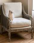  Vintage Rattan Chair with fluffy white cat.