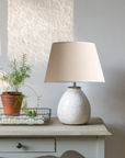 Rustic Lamp with Shade on console with plant.