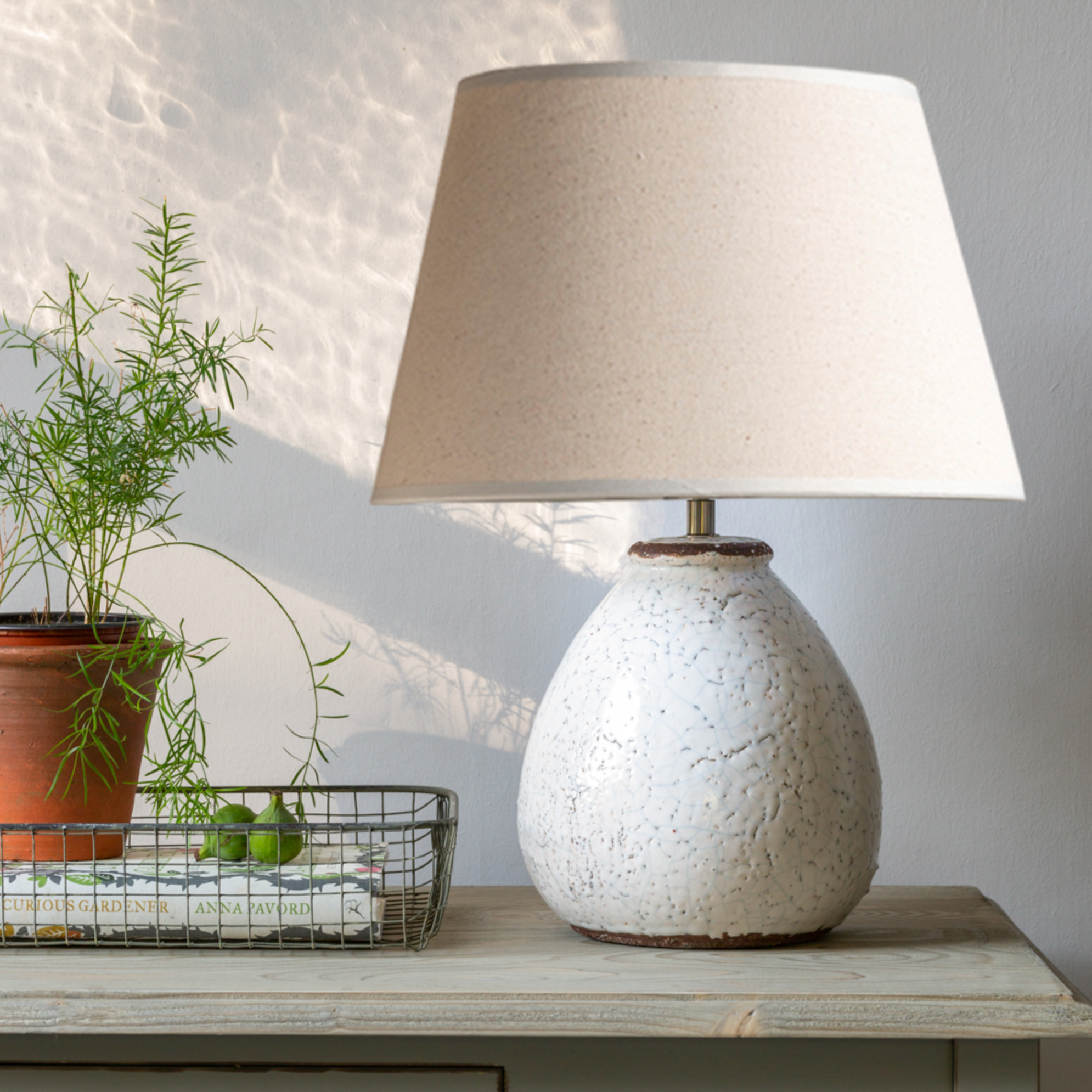 Rustic Lamp with Shade on console with plant.