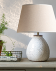 Rustic Lamp with Shade on console with plant.