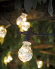 Classic Festoon Lights - Outdoor