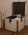 A linen storage trunk with a beautiful siamese cat.